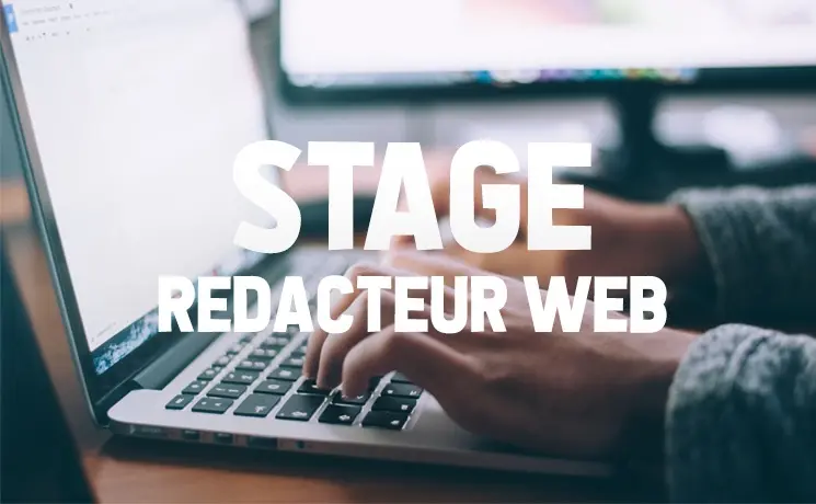 Rédacteur Web (Stage) | Rejoignez notre équipe digitale